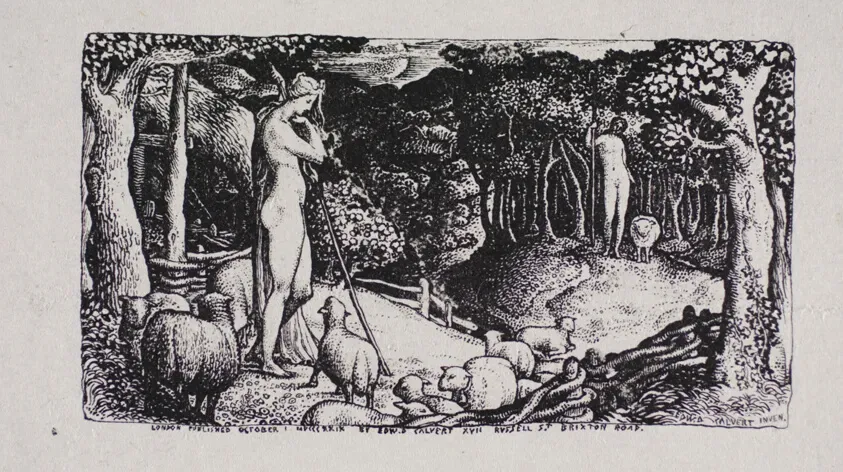 Why the Brazilian Laser Hair Removal Cost at Ideal Image Raises Eyebrows